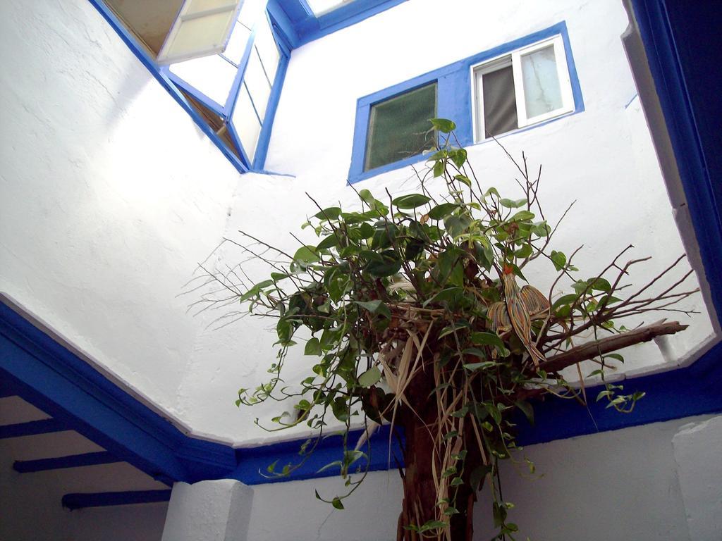 De Cadiz Cadi Hostel 외부 사진